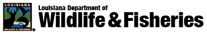 ldwflogo